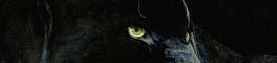 1f4a4e18-iloveimg-cropped